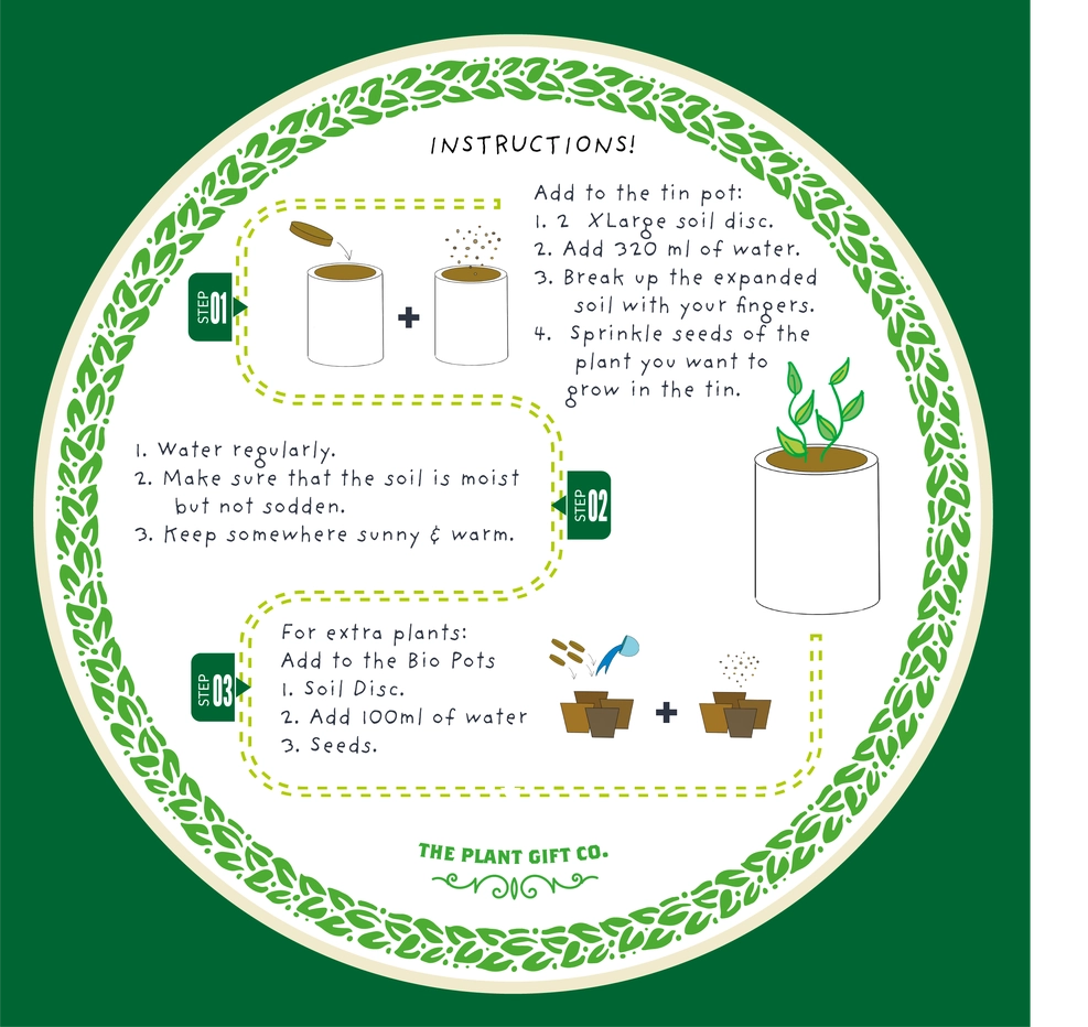 Mr. Herbyhead. Eco Grow Your Own Plant Kit