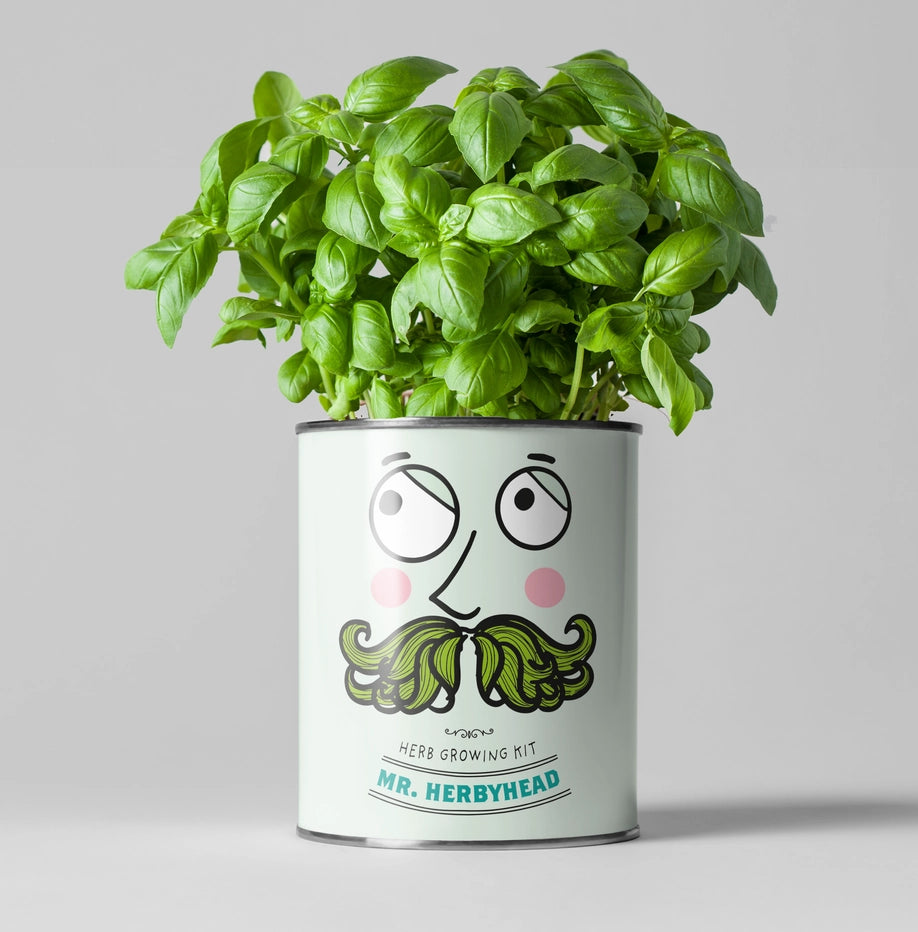 Mr. Herbyhead. Eco Grow Your Own Plant Kit