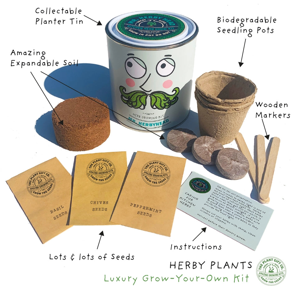 Mr. Herbyhead. Eco Grow Your Own Plant Kit